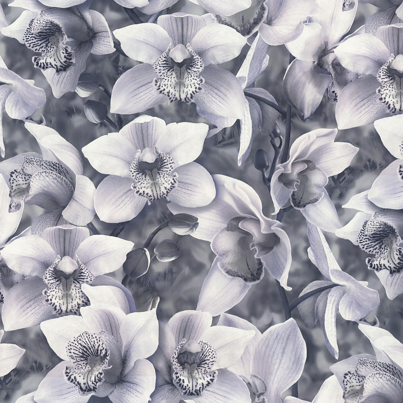 Основной рисунок обоев SP71836-46 Orchidea