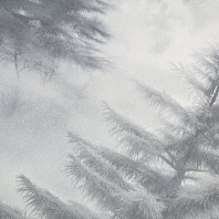 Макрофото текстуры обоев для стен HC72551-44