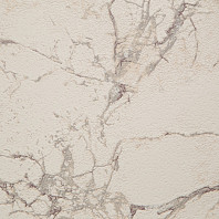 Макрофото текстуры обоев для стен 1360-24