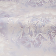 Макрофото текстуры обоев для стен HC72408-15