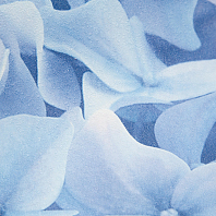 Макрофото текстуры обоев для стен 7460-66