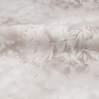 Макрофото текстуры обоев для стен HC72408-21