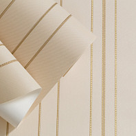 Макрофото текстуры обоев для стен HC71424-22