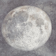 Макрофото текстуры обоев для стен HC72367-44