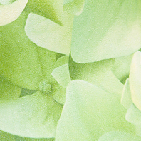 Макрофото текстуры обоев для стен 7460-77