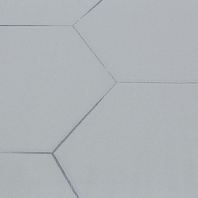 Макрофото текстуры обоев для стен TC72088-41