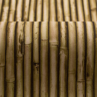 Макрофото текстуры обоев для стен PL71150-28