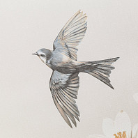 Макрофото текстуры обоев для стен PL72535-12