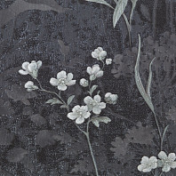 Макрофото текстуры обоев для стен SL72412-44