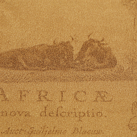 Макрофото текстуры обоев для стен 7416-38