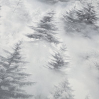 Макрофото текстуры обоев для стен HC72551-44