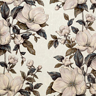 Макрофото текстуры обоев для стен PC71575-14