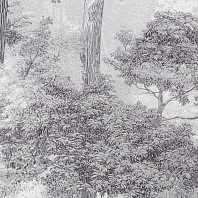 Макрофото текстуры обоев для стен TC72703-41