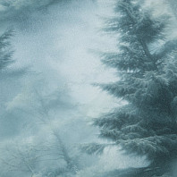 Макрофото текстуры обоев для стен HC72551-67