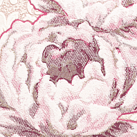 Макрофото текстуры обоев для стен 3327-58