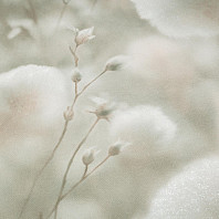 Макрофото текстуры обоев для стен PL72543-72