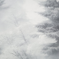 Макрофото текстуры обоев для стен HC72551-44