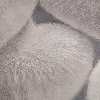 Макрофото текстуры обоев для стен HC72585-24