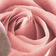 Макрофото текстуры обоев для стен 714-45