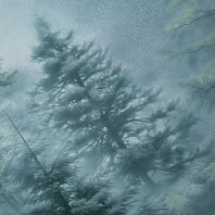 Макрофото текстуры обоев для стен HC72551-67