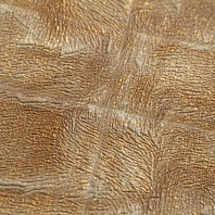 Макрофото текстуры обоев для стен 7425-28