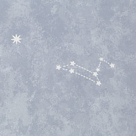 Макрофото текстуры обоев для стен HC72577-46