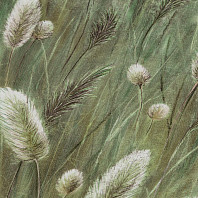 Макрофото текстуры обоев для стен PR72611-17