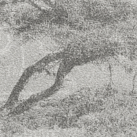 Макрофото текстуры обоев для стен 7416-14