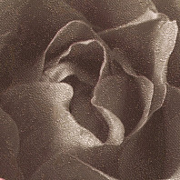 Макрофото текстуры обоев для стен 714-45