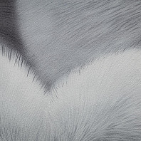 Макрофото текстуры обоев для стен HC72585-44