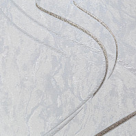 Макрофото текстуры обоев для стен HC11066-14