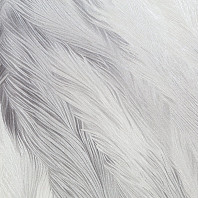 Макрофото текстуры обоев для стен PL72578-14