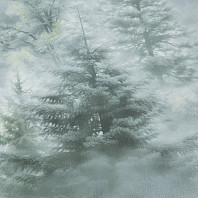 Макрофото текстуры обоев для стен HC72551-71