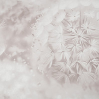 Макрофото текстуры обоев для стен HC72408-21