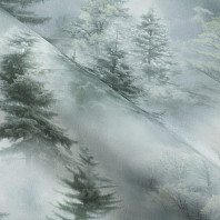 Макрофото текстуры обоев для стен HC72551-71