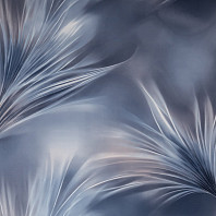 Макрофото текстуры обоев для стен SL72483-64