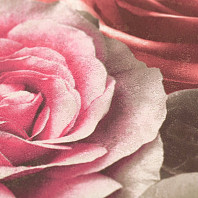 Макрофото текстуры обоев для стен 714-45