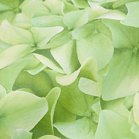 Макрофото текстуры обоев для стен 7460-77