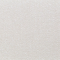 Макрофото текстуры обоев для стен HC11071-21