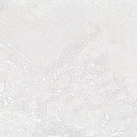 Макрофото текстуры обоев для стен PC72118-12