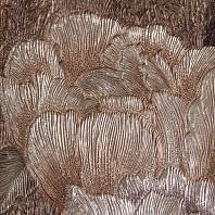 Макрофото текстуры обоев для стен 7445-88