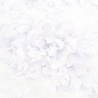 Макрофото текстуры обоев для стен PL71981-14