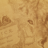 Макрофото текстуры обоев для стен 7417-38