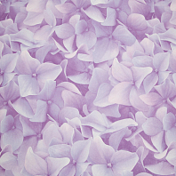 Макрофото текстуры обоев для стен 7460-65