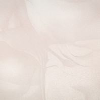 Макрофото текстуры обоев для стен HC72452-22