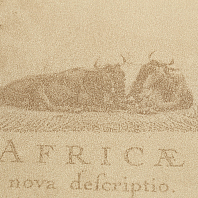 Макрофото текстуры обоев для стен 7417-22