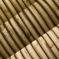 Макрофото текстуры обоев для стен PL71150-28