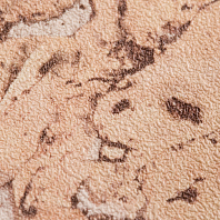 Макрофото текстуры обоев для стен 7439-21