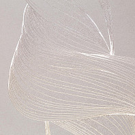 Макрофото текстуры обоев для стен SL72615-28