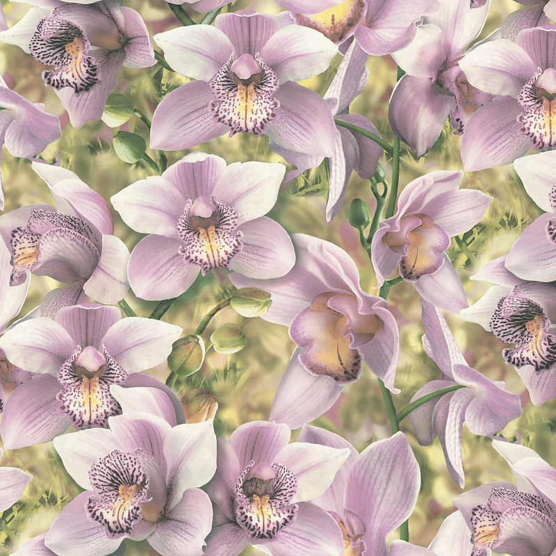 Основной рисунок обоев SP71836-56 Orchidea